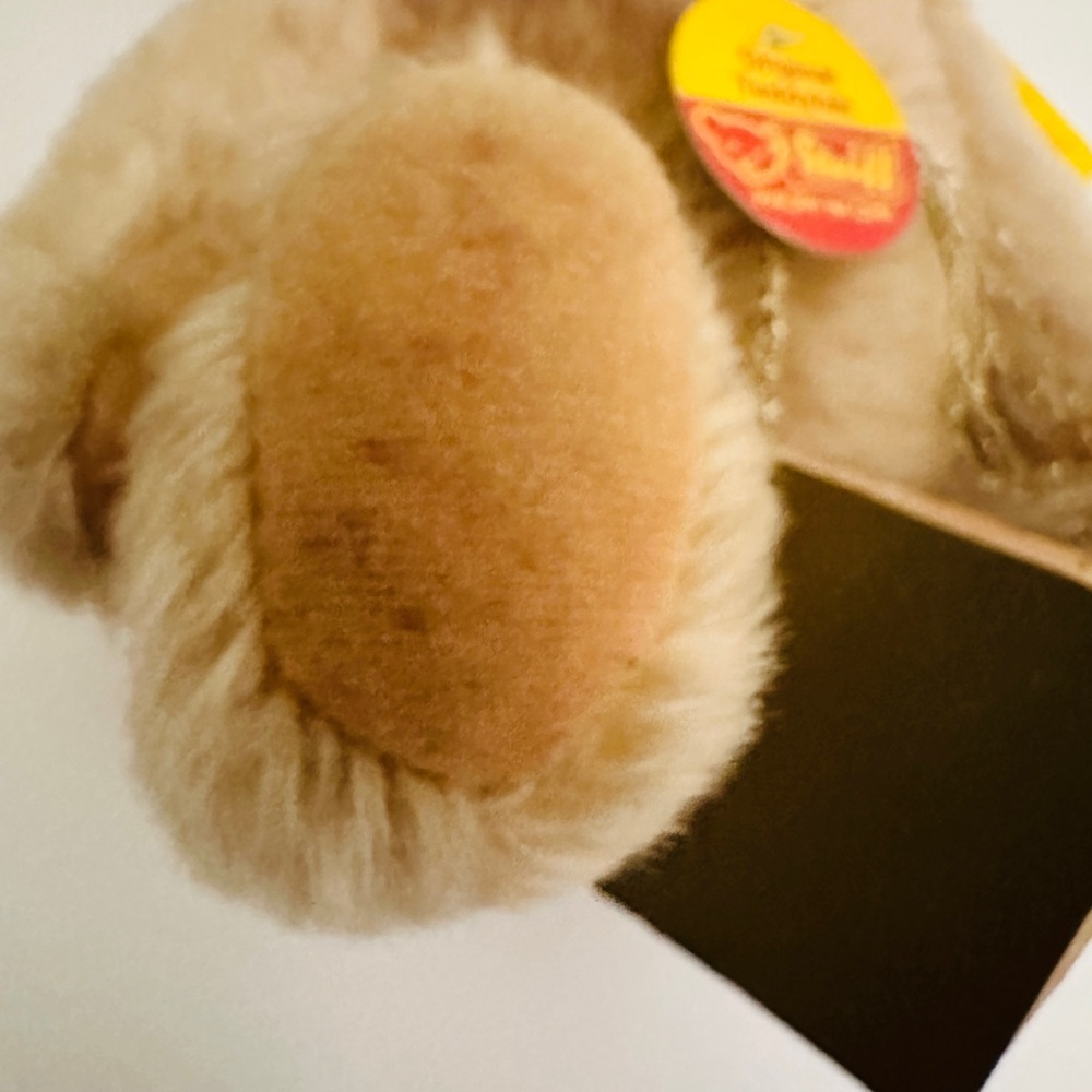 Steiff Original Jointed Teddy Bear 0201/26 Austria Signed By Otto Hans Steiff - Picture 4 of 15